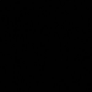 Meet your Posher, Dawson